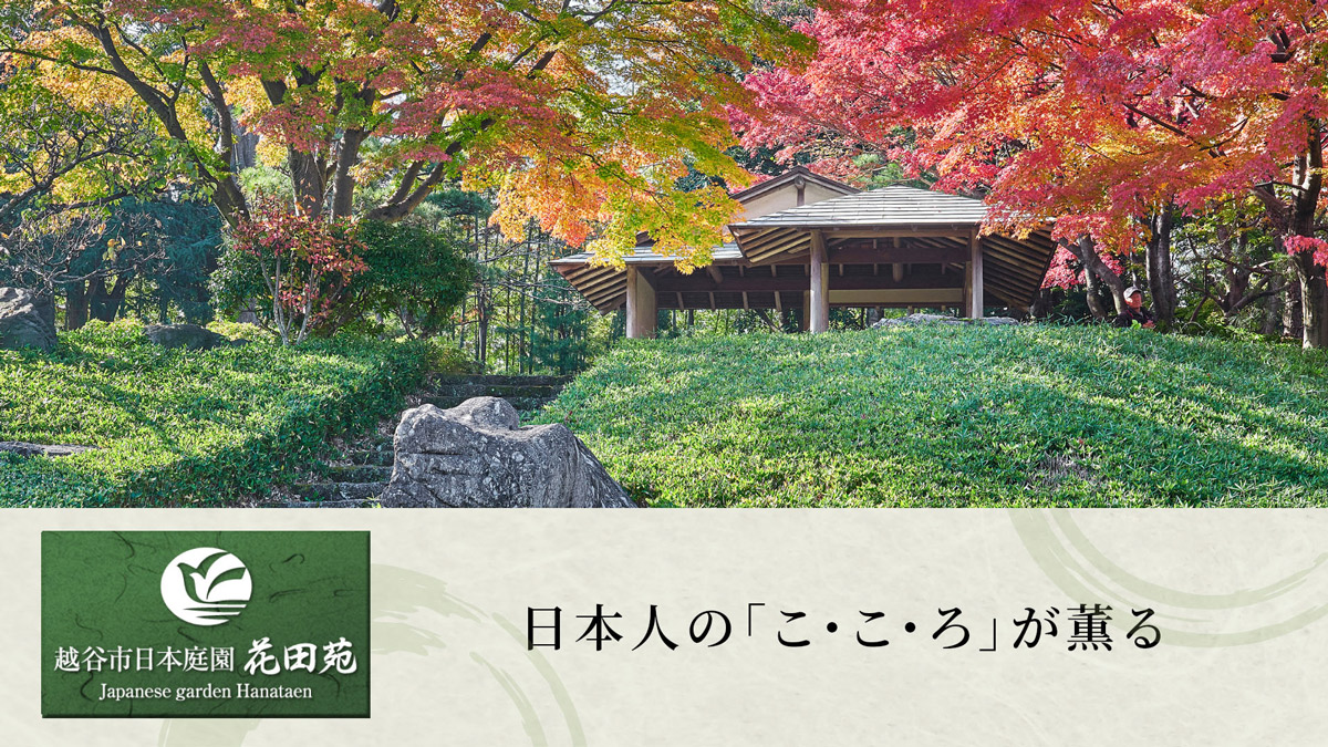 越谷市日本庭園 花田苑